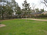 Glenmore Forest park 8000 Wingo Houston, Texas 77055 (19).JPG